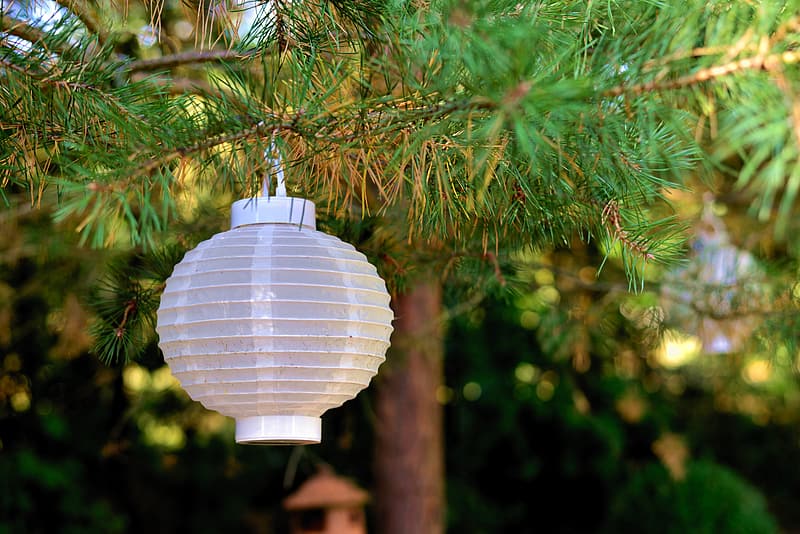 types of outdoor lights